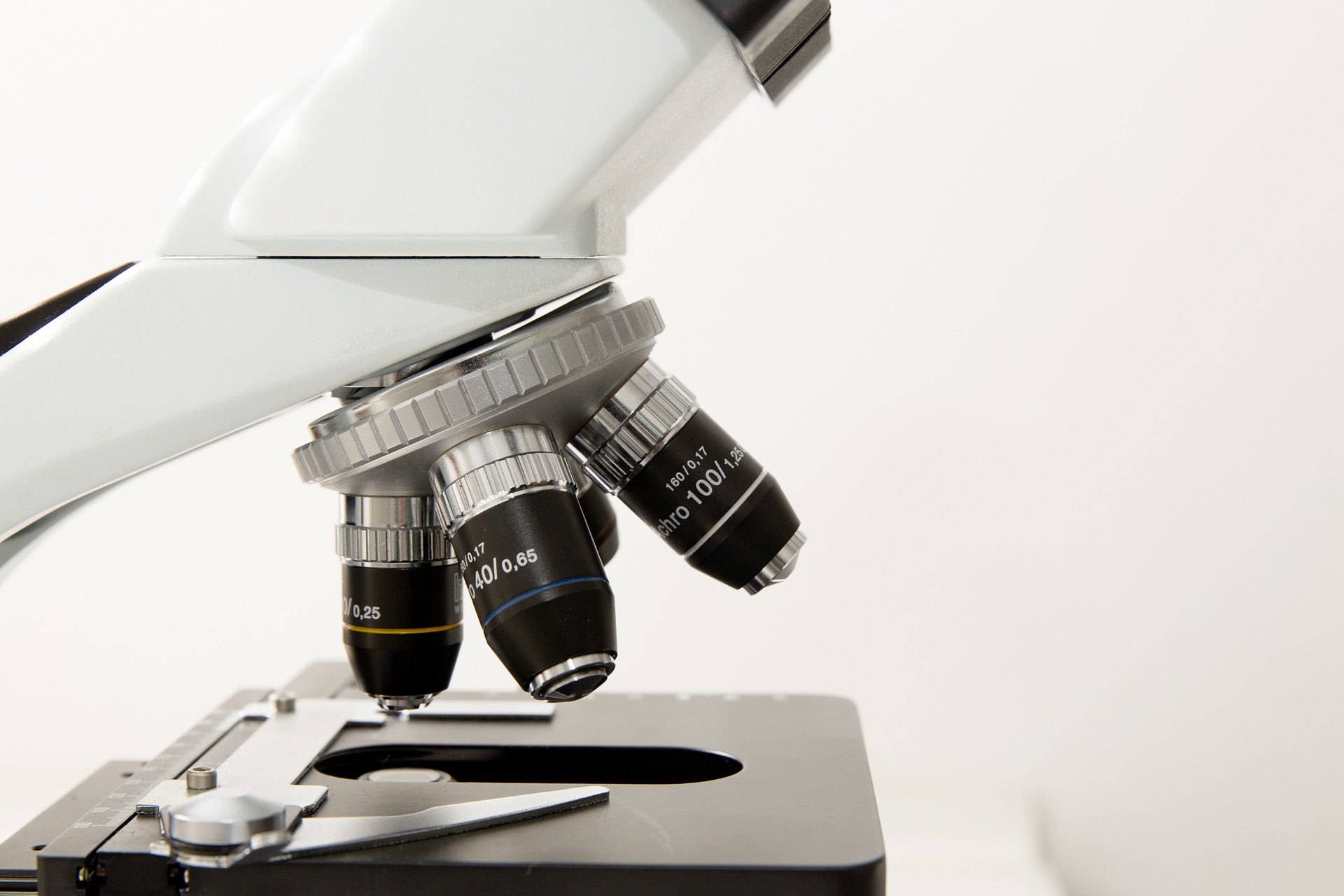 microscope-pixabay